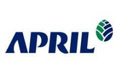 PT Riau Andalan Pulp & Paper (RAPP)